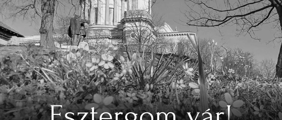 Hotel Adalbert - Szent Tams Hz Esztergom