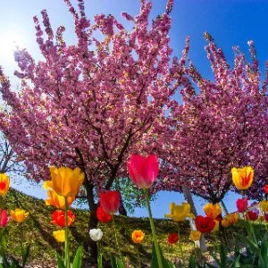  Hajdúszoboszló - Május 1. (min. 2 éj)