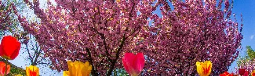 Hunguest Hotel B�ke 