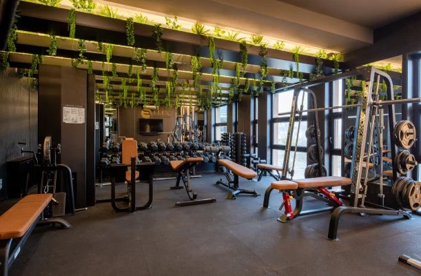 Hotel Bodrog Wellness & Elix Spa S�rospatak
