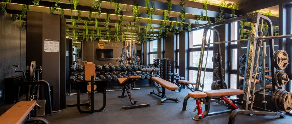 Hotel Bodrog Wellness & Elix Spa S�rospatak