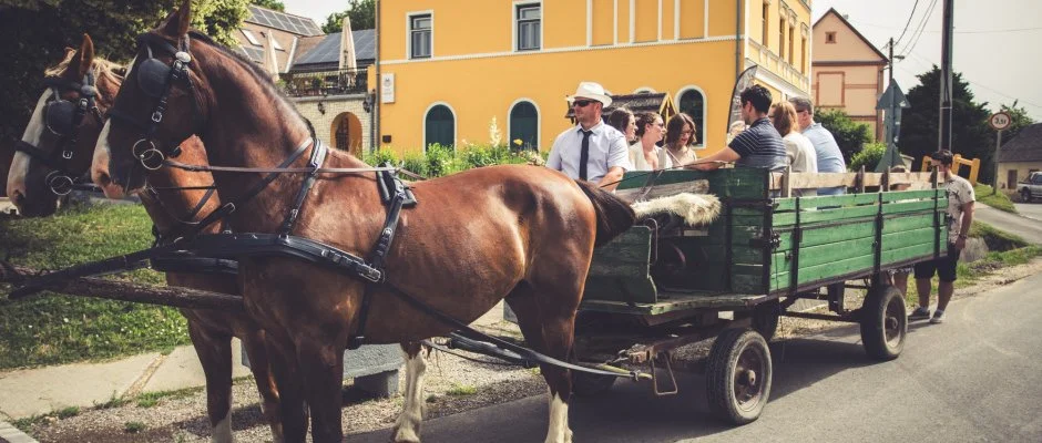 Hotel Cabernet Villnykvesd