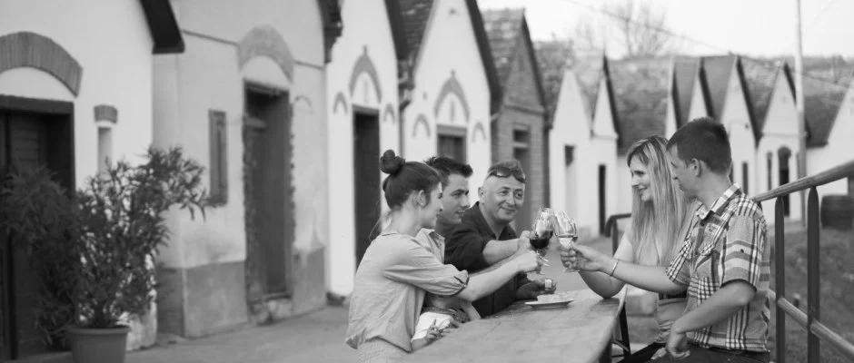 Hotel Cabernet Vill�nyk�vesd