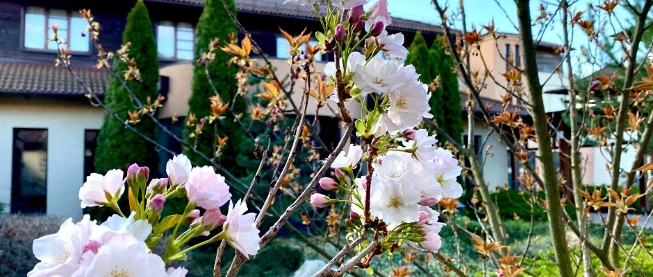 Caramell Premium Resort Bk, Bkfrd