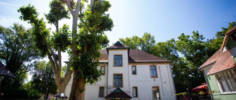 Hotel Carpe Diem Sifok