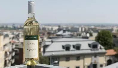 Hotel Castle Garden Budapest