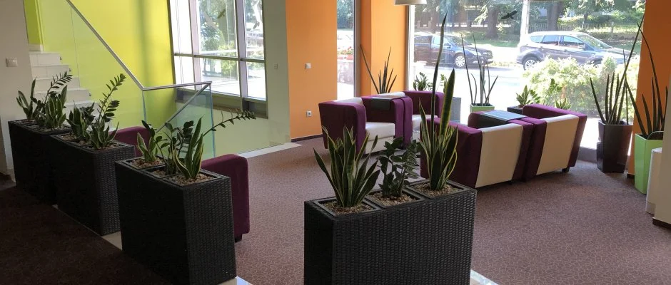 Hotel Eurpa Gunaras Dombvr