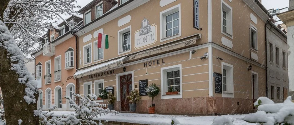 Hotel Fonte Győr