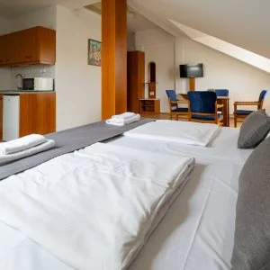 Hotel Forrás Zalakaros Zalakaros - Senior kedvezményes csomagajánlat (min. 2 éj)