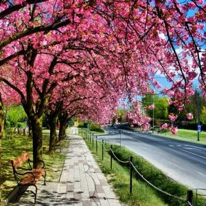  Zalakaros - Pünkösdi hétvége Zalakaroson (min. 3 éj)