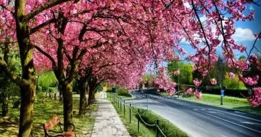 Pnksdi htvge Zalakaroson (min. 3 j)