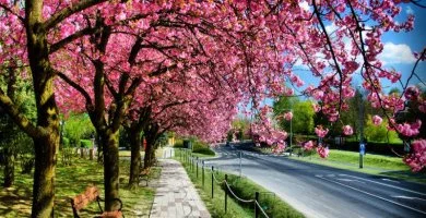 P�nk�sdi h�tv�ge Zalakaroson (min. 2 �j)