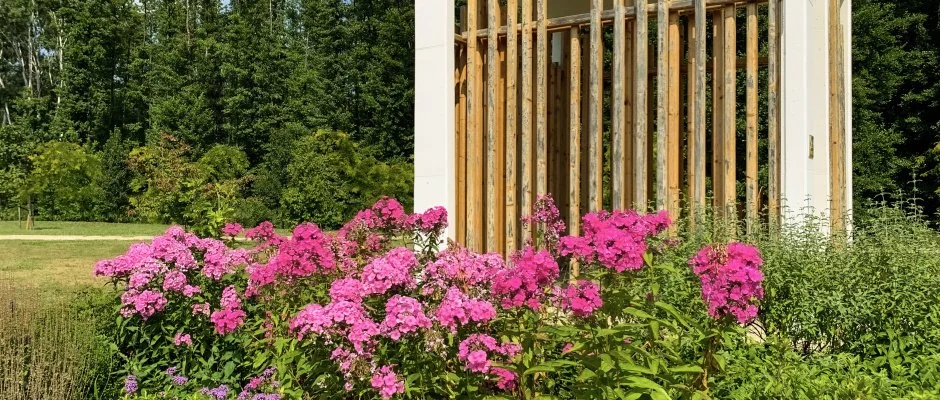 Hunguest Hotel Freya Zalakaros