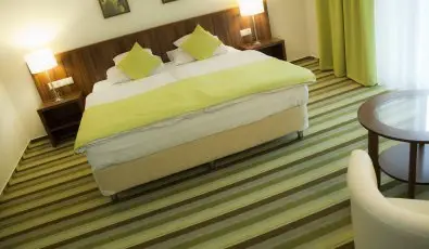 Hotel Ginkgo Hdmezvsrhely