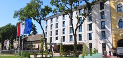 Hotel Ginkgo Hdmezvsrhely