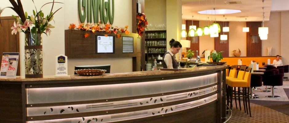 Hotel Ginkgo Hdmezvsrhely