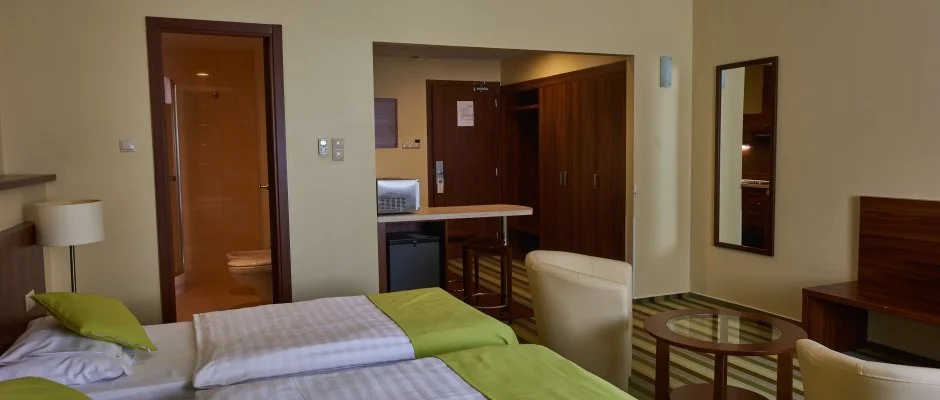 Hotel Ginkgo Hdmezvsrhely