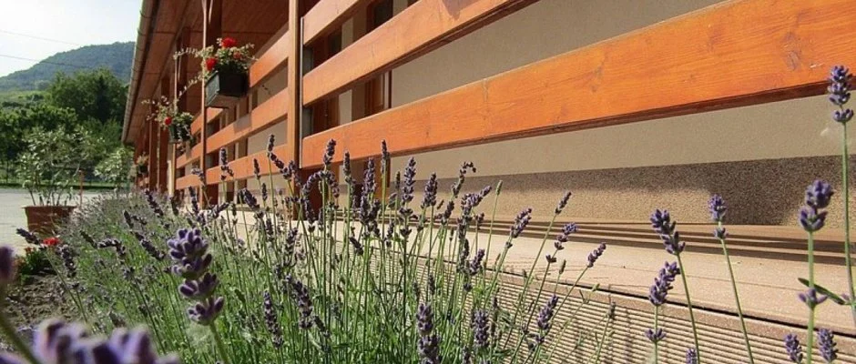 Hotel Halszkert Badacsony