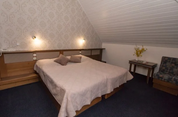 Hasik Hotel Döbrönte Hasik Hotel Döbrönte