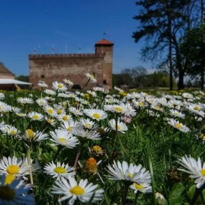  Gyula - Tavaszi kikapcsolódás csomag reggelivel és extrákkal (min. 2 éj)