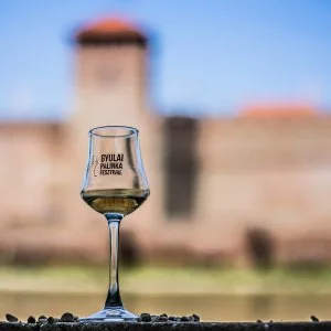  Gyula - Pálinkafesztivál-csomag Várfürdő belépőkkel (min. 3 éj)