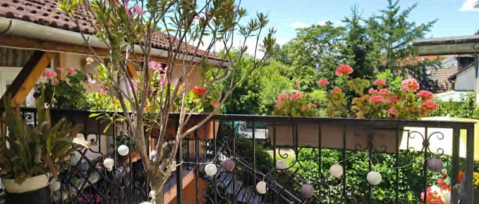 Hotel Isabell Gy�r