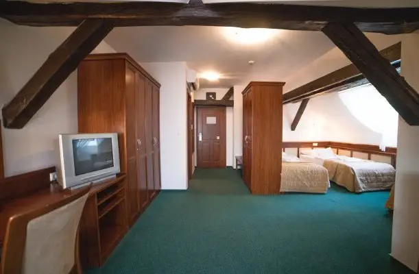 Hotel Kardosfa Zselickisfalud Hotel Kardosfa Zselickisfalud