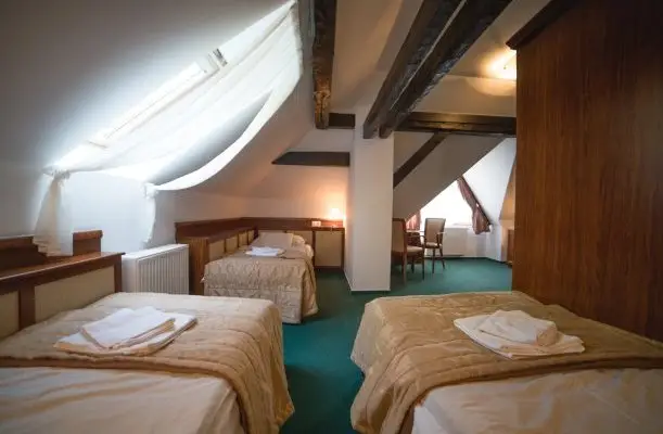 Hotel Kardosfa Zselickisfalud Hotel Kardosfa Zselickisfalud