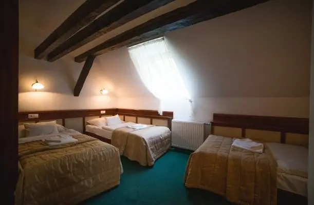 Hotel Kardosfa Zselickisfalud Hotel Kardosfa Zselickisfalud