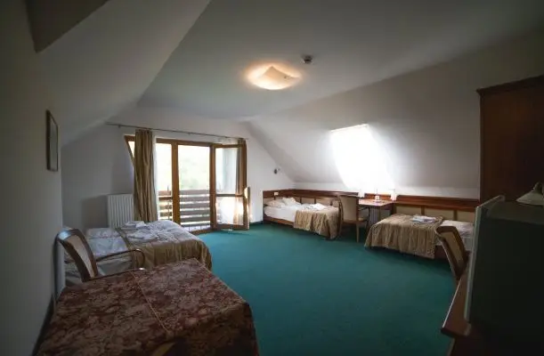 Hotel Kardosfa Zselickisfalud Hotel Kardosfa Zselickisfalud