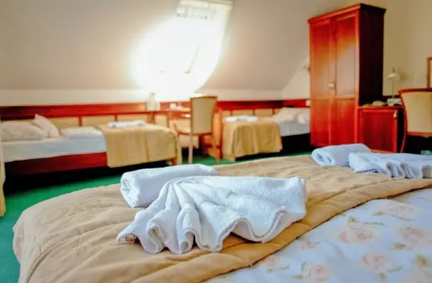 Hotel Kardosfa Zselickisfalud Hotel Kardosfa Zselickisfalud