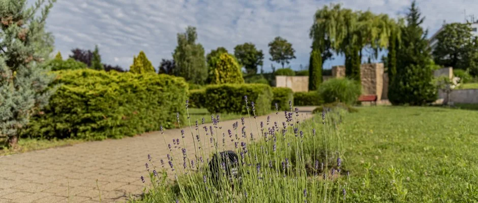 Hotel Karos Spa Zalakaros