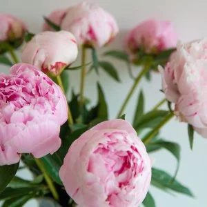  Eger - Pünkösd Egerben (min. 2 éj)