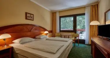 Napi r flpanzis elltssal (1 jszaka)