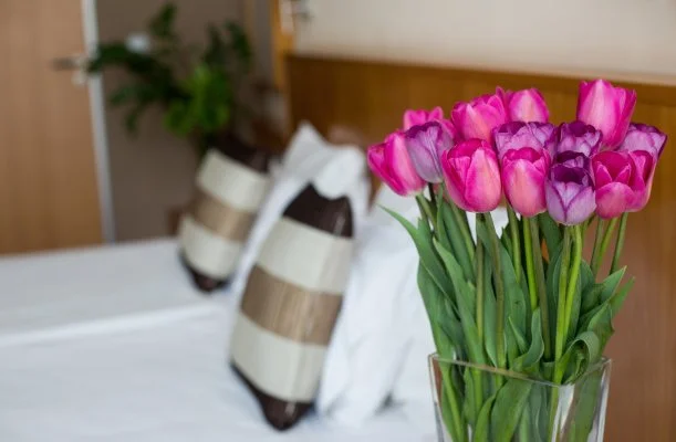 Hotel Lycium Debrecen Hotel Lycium Debrecen