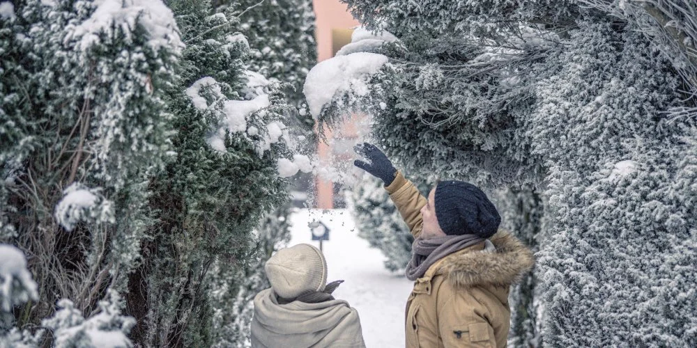 Hotel Nard Park Mtraszentimre