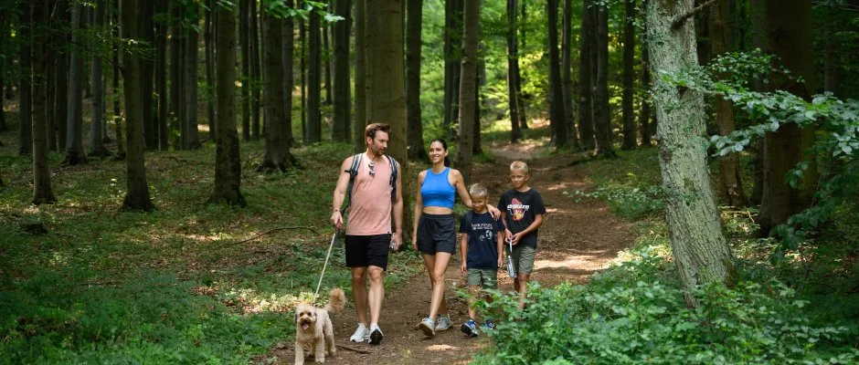 Hotel Nard Mtraszentimre