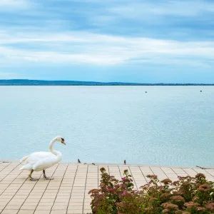  Keszthely - Természetközeli Majális a Balaton és Hévíz találkozásánál (min. 2 éj)