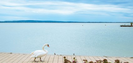 Hotel Ovit Keszthely - Wellness csomagok hrom jszakra
