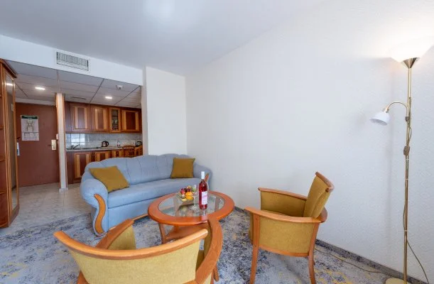 Palace Hotel H�v�z