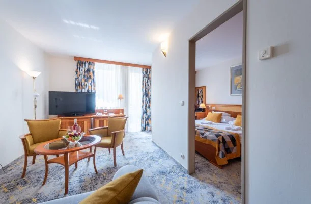 Palace Hotel H�v�z