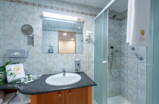 Palace Hotel  H�v�z