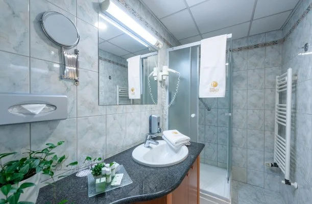 Palace Hotel  H�v�z