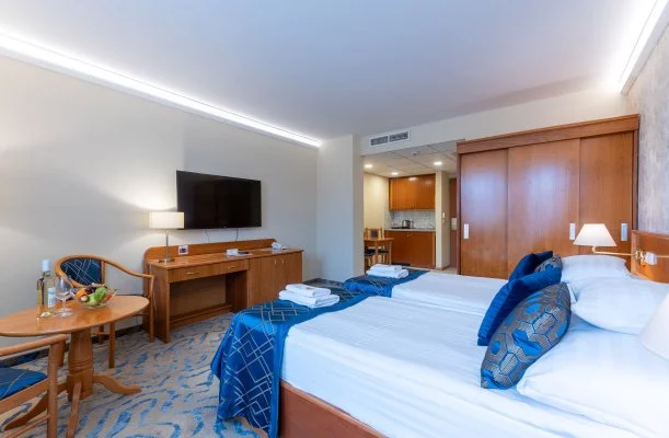 Palace Hotel  H�v�z