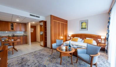 Palace Hotel H�v�z