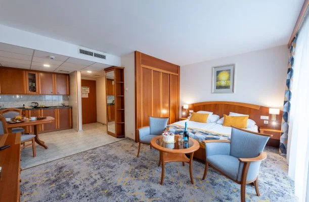 Palace Hotel H�v�z