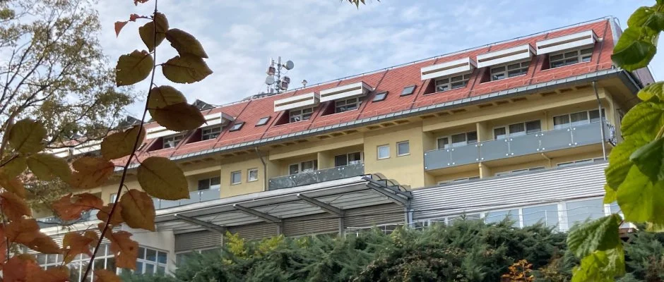 Hotel Panorma Balatongyrk