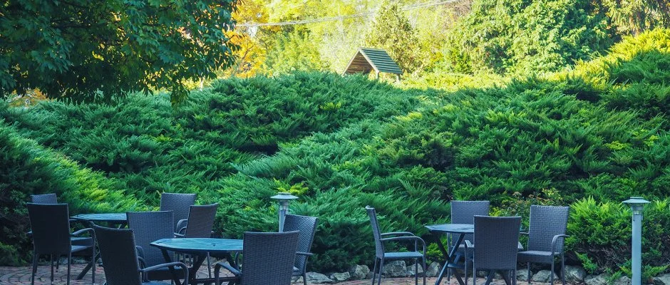 Hotel Panorma Balatongyrk