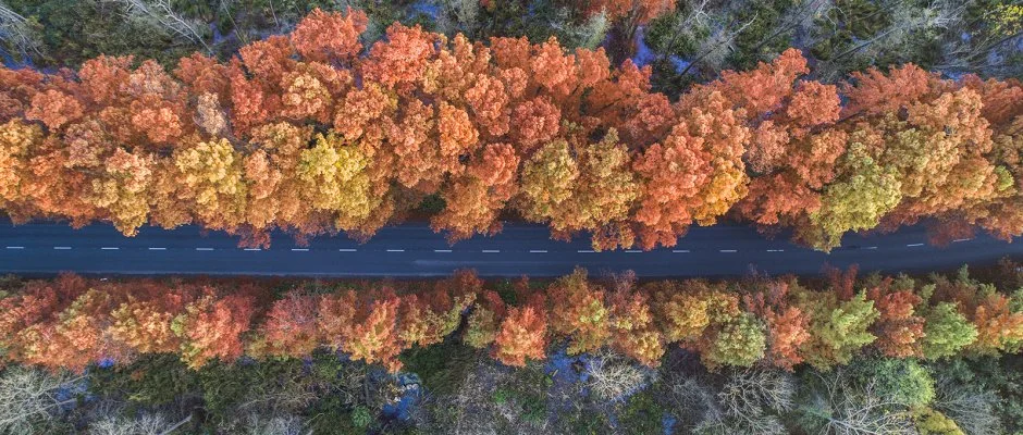 Hunguest Hotel Panorma Hvz