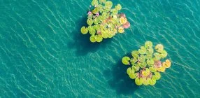 Hunguest Hotel Panor�ma - �vind�t� Sz�ll�svad�szat H�v�zen, f�rd�bel�p�vel